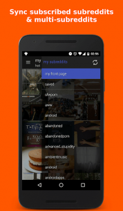 Gallery for reddit 2.7.0 Apk for Android 4