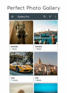 Gallery Pro: Photo Manager & Editor (PRO) 2.7.1 Apk for Android 1