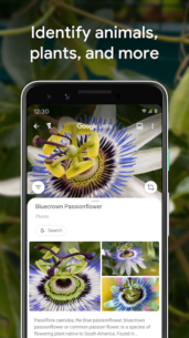 Google Lens 1.15.2211290 Apk for Android 3