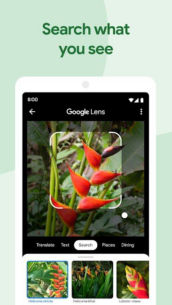 Google Photos 6.62.0.583182950 Apk for Android 3