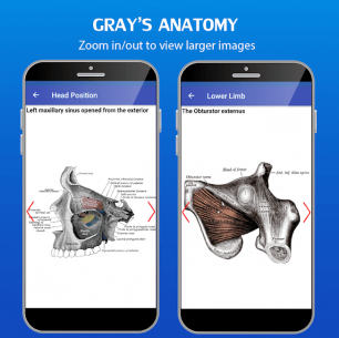 Gray’s Atlas of Anatomy Pro (No Ads) 1.0 Apk for Android 3