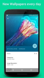 HD Wallpapers and Backgrounds 4.2 Apk for Android 3