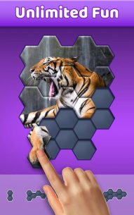 Hexa Jigsaw Puzzle ® 64.01 Apk + Mod for Android 1