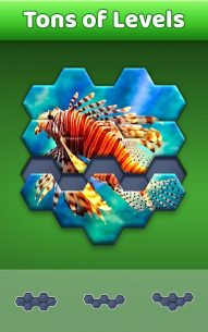 Hexa Jigsaw Puzzle ® 64.01 Apk + Mod for Android 2