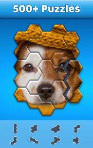Hexa Jigsaw Puzzle ® 64.01 Apk + Mod for Android 4