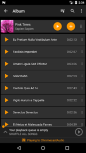 Hi-Fi Cast – Music Player 1.131 Apk for Android 3