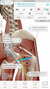 Human Anatomy Atlas 2021: Complete 3D Human Body (UNLOCKED) 2018.5.47 Apk + Mod for Android 2