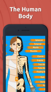 Human Anatomy – Body parts (FULL) 2023.6.0 Apk for Android 1