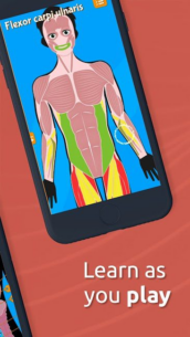 Human Anatomy – Body parts (FULL) 2023.6.0 Apk for Android 3