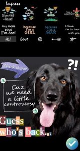 Impress – photo editor 1.18 Apk for Android 2