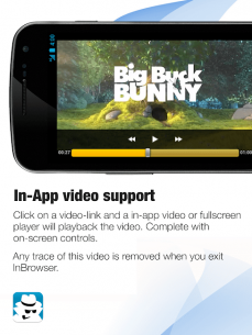 InBrowser – Incognito Browsing 2.43 Apk for Android 4
