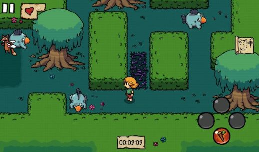 Ittle Dew 1.6 Apk + Mod for Android 5