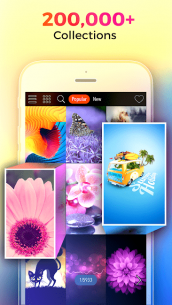 Kappboom – Cool Wallpapers & Background Wallpapers 1.8.3 Apk for Android 1