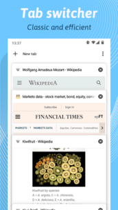 Kiwi Browser – Fast & Quiet 112.0.5615.137 Apk for Android 2