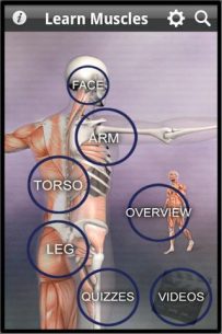 Learn Muscles: Anatomy (UNLOCKED) 1.6.0 Apk for Android 1