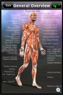 Learn Muscles: Anatomy (UNLOCKED) 1.6.0 Apk for Android 2