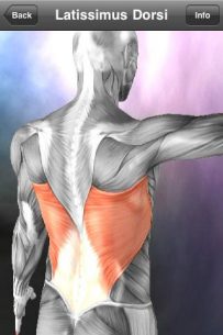 Learn Muscles: Anatomy (UNLOCKED) 1.6.0 Apk for Android 5