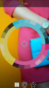 Live Palettes 1.49 Apk for Android 1