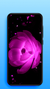 Live Wallpapers | Video Wallpapers 1.1.3 Apk + Mod for Android 1