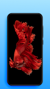 Live Wallpapers | Video Wallpapers 1.1.3 Apk + Mod for Android 5