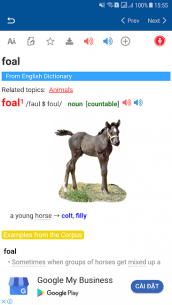 Longman Dictionary English 1.1.2 Apk for Android 5