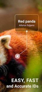 Mammal Identifier: Animal Snap 1.1 Apk for Android 2