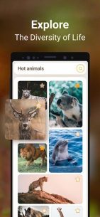 Mammal Identifier: Animal Snap 1.1 Apk for Android 4