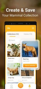 Mammal Identifier: Animal Snap 1.1 Apk for Android 5