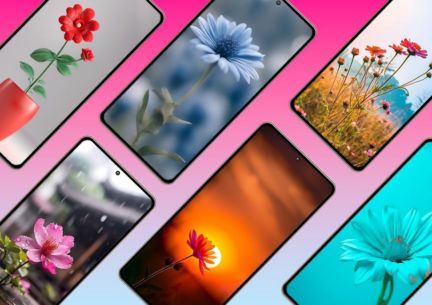 MindFul Wall 2.0 Apk for Android 1