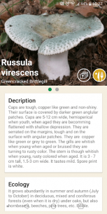 Mushrooms app 72 Apk for Android 2
