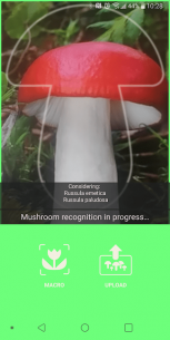 Mushrooms app 72 Apk for Android 3