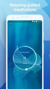 Music Zen – Relaxing Sounds (PREMIUM) 1.17 Apk + Mod for Android 4