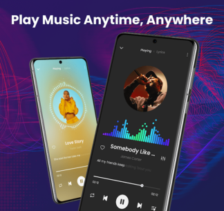 Offline Music Player: Play MP3 (PRO) 1.02.28.1016 Apk for Android 1
