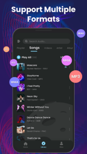 Offline Music Player: Play MP3 (PRO) 1.02.28.1016 Apk for Android 2