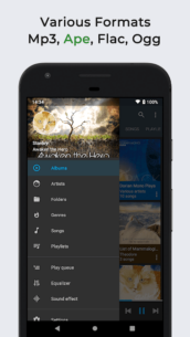 Omnia Music Player (PREMIUM) 1.7.1 Apk for Android 2