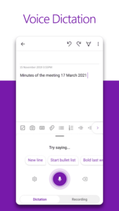 Microsoft OneNote: Save Notes 16.0.16626.20166 Apk for Android 4