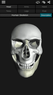 Osseous System in 3D (Anatomy) 3.5.4 Apk + Mod for Android 1
