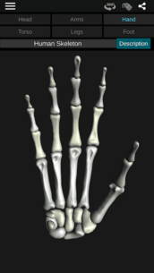 Osseous System in 3D (Anatomy) 3.5.4 Apk + Mod for Android 2
