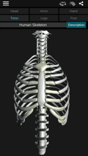 Osseous System in 3D (Anatomy) 3.5.4 Apk + Mod for Android 3