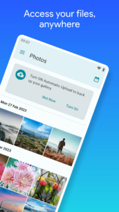 pCloud: Cloud Storage 3.31.2 Apk for Android 2
