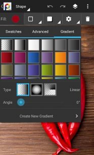 PhotoSuite 4 Pro 4.3.694 Apk for Android 3