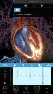 Physiology & Pathology 1.0.11 Apk + Data for Android 1