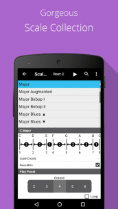 Piano Chords, Scales, Progression Companion PRO 6.55.325 Apk for Android 5