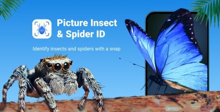 picture insect bug identifier cover