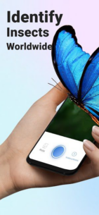 Picture Insect: Bug Identifier (PREMIUM) 2.8.26 Apk for Android 1