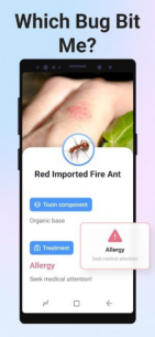 Picture Insect: Bug Identifier (PREMIUM) 2.8.26 Apk for Android 3