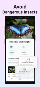 Picture Insect: Bug Identifier (PREMIUM) 2.8.26 Apk for Android 4