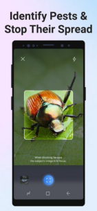 Picture Insect: Bug Identifier (PREMIUM) 2.8.26 Apk for Android 5