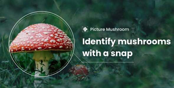 picture mushroom mushroom id cover