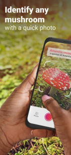 Picture Mushroom – Mushroom ID (PREMIUM) 2.9.22 Apk for Android 1